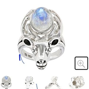 Rainbow Moonstone Rhodium Over Sterling Silver Moose Ring Size 8